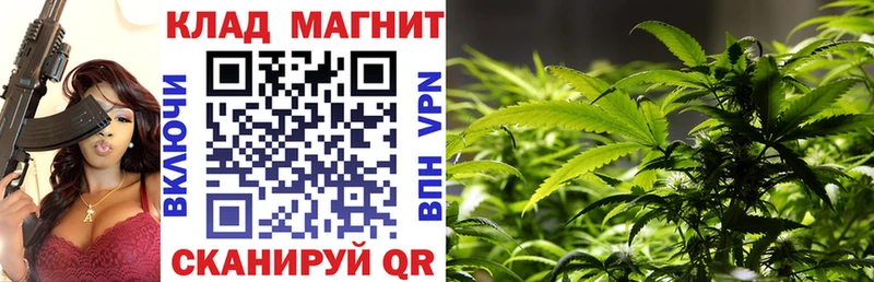 А ПВП Власиха